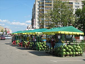 C0242-Kstovo-LeninSquare-melon-vendors