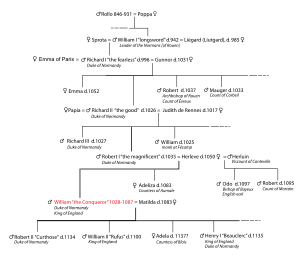 Chronological tree of William I