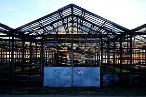 Destroyed greenhouses in the city - panoramio
