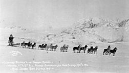 Leonhard Seppala and his winning dogsled team during 9th All-Alaska Sweepstakes dogsled race, Ruby, Alaska, 1916 (AL+CA 6486)