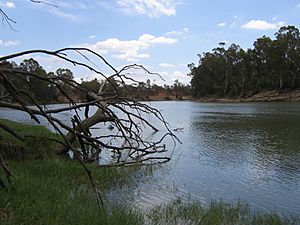 Murray River at Boundary Bend