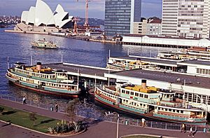 Sydney ferries KAMERUKA - LADY DENMAN - KARINGAL at Circular Quay Sydney 15 Feb 1970