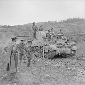 The British Army in Italy 1943 NA8930