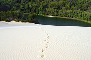 A170, Great Sandy National Park, Australia, Fraser Island, Lake Wabby, 2007