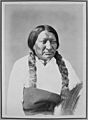 Black Bull-Ta-Tan-Kah-Sa-Pah. Brule Sioux, 1872 - NARA - 518985
