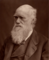 Charles Darwin 1877 (cropped)
