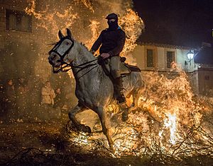 Luminarias- caballos sometidos al fuego (23851169404)