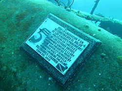 Monument honoring 5 US political prisoners - Bay of Pigs - Cuba
