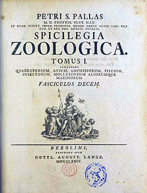 Pallas, Peter Simon – Spicilegia zoologica, 1774 – BEIC 8735843