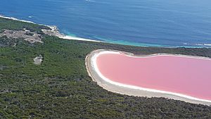 Pink Lake (Lake Hillier) on Middle Island off the coast of Esperance Western Australia