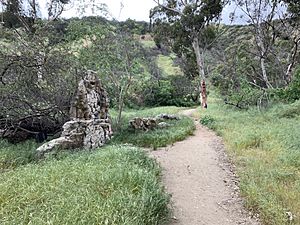 Ruins In Runyon Canyon Park