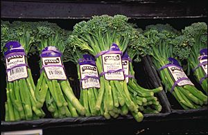 USDA Broccolini