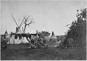 Arapaho camp with buffalo meat drying near Fort Dodge, Kansas, 1870 - NARA - 518892