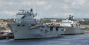 HMS Ocean and Albion in Weston Mill lake, cropped