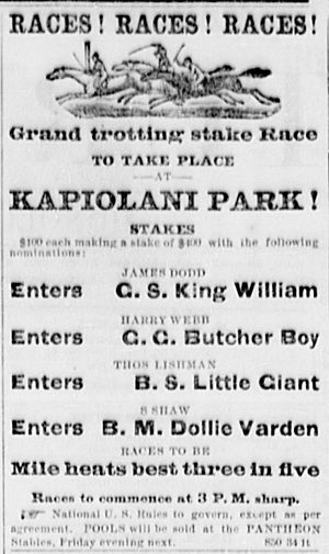 Kapiolani Park Horse Race Ad