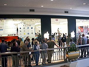Line at the opening of first Apple Store in America