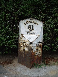 Milestone on the Old Turnpike Road, today the A20 at Ditton, Kent.