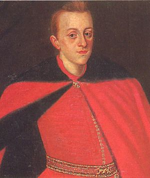Prince Władysław Sigismund - detail