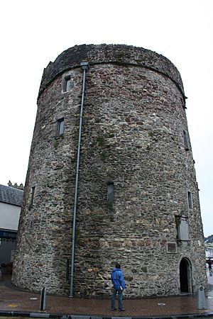 Reginalds tower Waterford