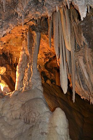 Shasta Caverns4.JPG
