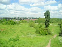 South Norwood Country Park 2007