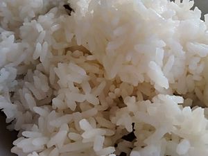 Botan Calrose rice 2