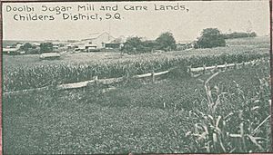 Doolbi Sugar Mill, 1914