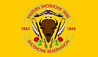 Eastern Shoshone Flag WY