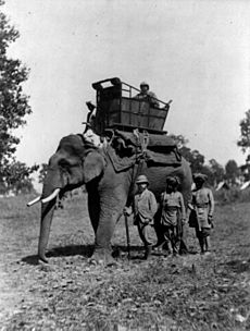 Edward, Prince of Wales, with elephant, Terai cph.3b08927