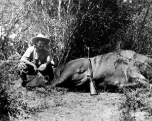 Ernest Hemingway on Safari in Africa c1933