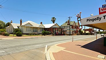 Great Southern Highway, Pingelly, 2014(07).JPG