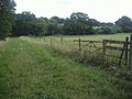 Hendon Wood field