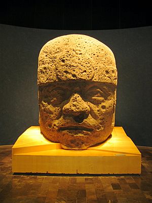 Olmec Head from San Lorenzo, Veracruz