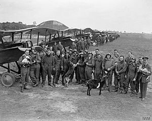 The Royal Flying Corps on the Western Front, 1914-1918 Q12049