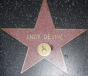 Andy Devine star HWF