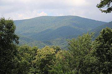 Big Bald Mountain, Georgia 2.JPG