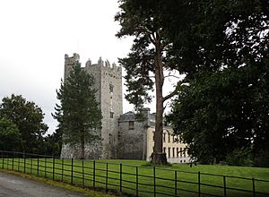 Castle Widenham (geograph 6417610)