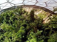 Eden Project - tropical canopy
