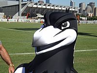 Magpie mascot