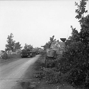 Sherman tanks of the Irish Guards Group