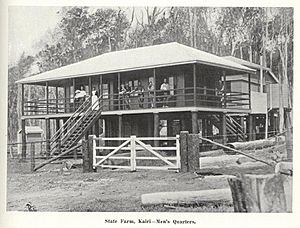 StateLibQld 1 240083 Men's quarters at the Kairi State Farm, south west of Cairns