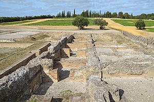 The Hadrianic Baths, Italica, Spain (31300720041)