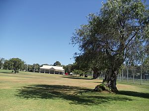 View of Manners Hill Park showing the pavilion and a tree in Peppermint Grove, Western Australia..JPG