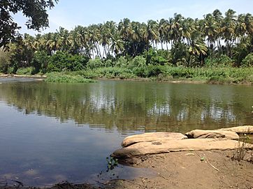 Amaravathy River Kadathur