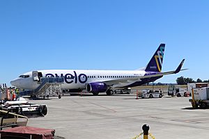 Avelo 737-800 at Santa Rosa
