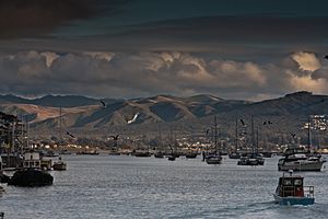 View of Los Osos from Morro Bay harbor