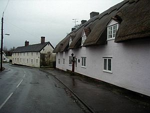 Lovely Essex - geograph.org.uk - 88942