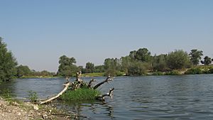 Maritsa river 02