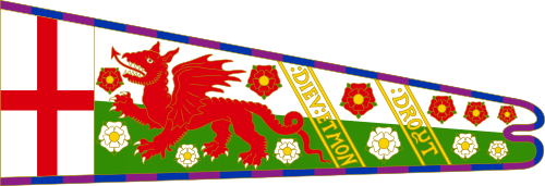 Royal Standard of Henry VII of England (Dragon and roses).svg