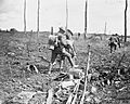 The Hundred Days Offensive, August-november 1918 Q7022